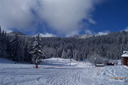 la tania ski slopes